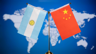 Chinese, Argentine militaries hold video conference on military medicine: Defense Spokesperson